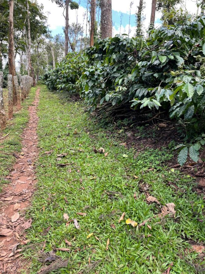 New Organic Home Stay Mudigere Exterior photo