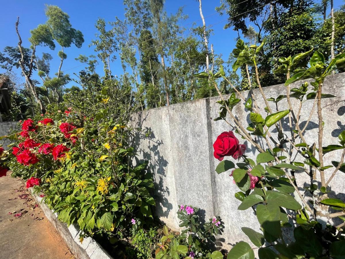 New Organic Home Stay Mudigere Exterior photo