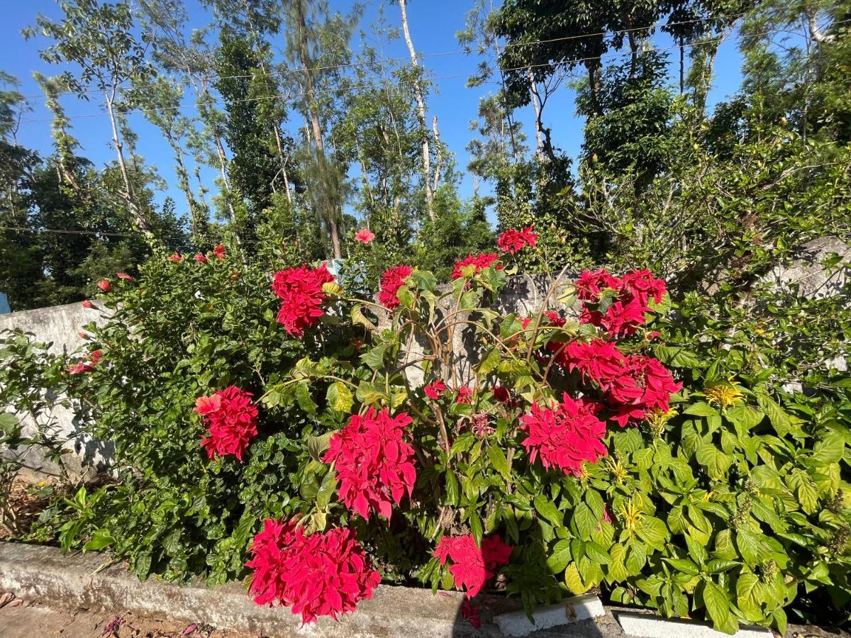 New Organic Home Stay Mudigere Exterior photo